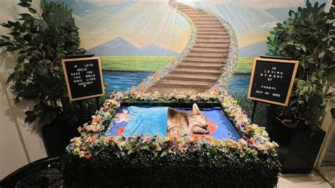 cemetery in quezon city|10 Pet Cremation and Memorial Services in the Philippines .